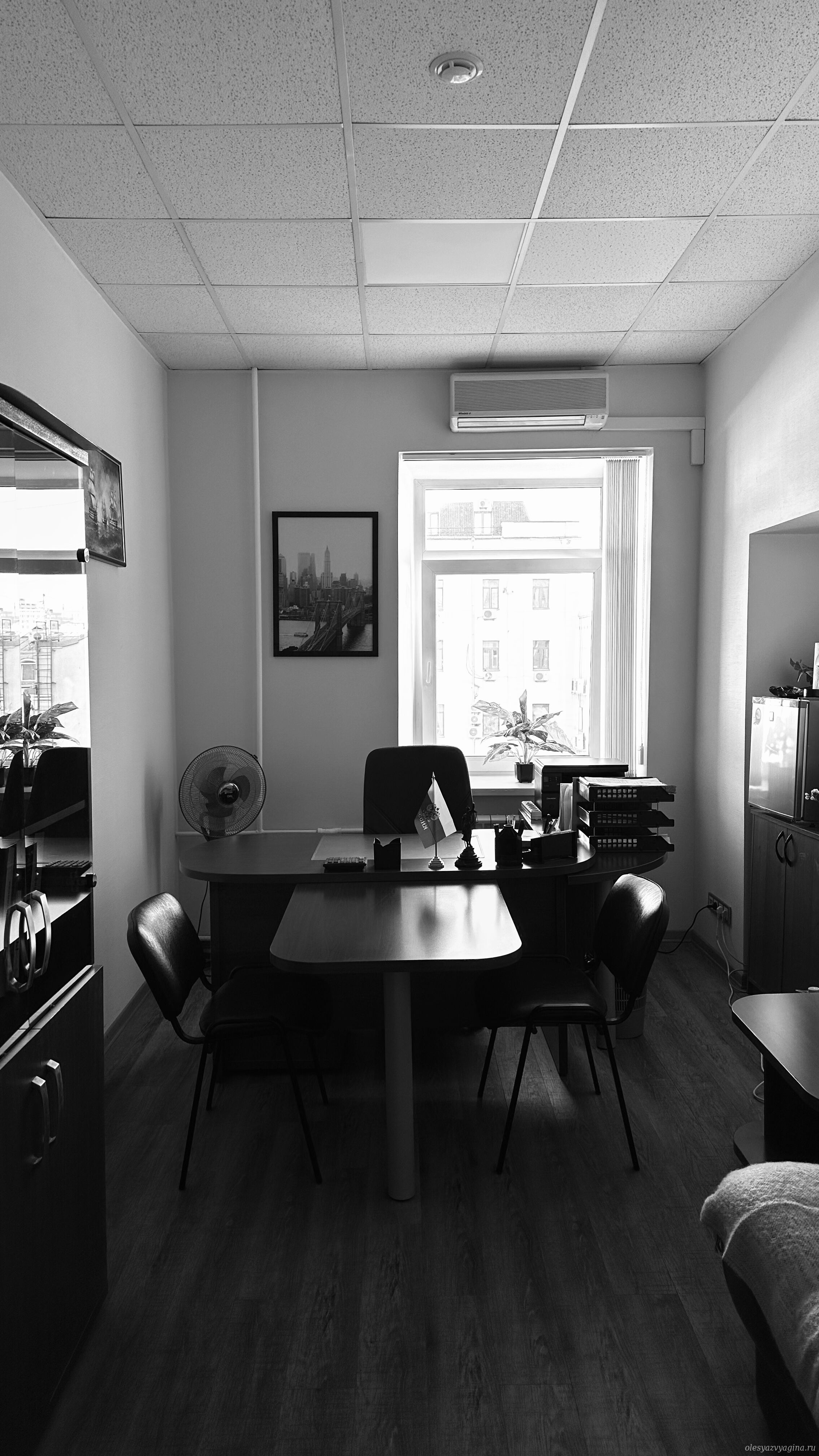 Офис Олеси Звягиной